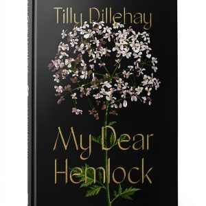 Christian Fiction Kindle eBook Faithful Hearts by Author Name-0