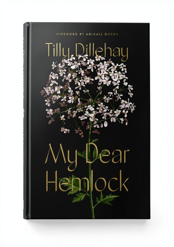 Christian Fiction Kindle eBook Faithful Hearts by Author Name-0