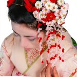 淡交社 Travel Guide Japan Kindle Edition – 104‑Page Japanese Travel Book-0