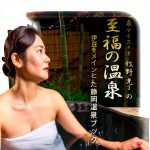 PubFull Japanese Spa Travel Guide Kindle eBook 90‑Page Edition-0