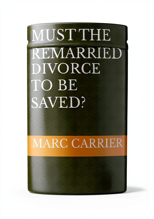 Christian Dating and Relationships Guide by Kindle-0